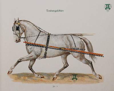 Bild Nr.4: 144-1460 Leisering,A.G.T.: (Zoologie, Pferde)