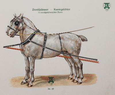 Bild Nr.5: 144-1460 Leisering,A.G.T.: (Zoologie, Pferde)