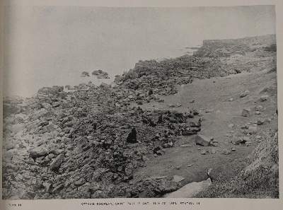 Bild Nr.2: 144-1461 Townsend,C.H.: (Zoologie, Robben)