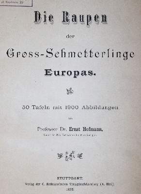 Bild Nr.1: 144-1463 Hofmann,E.: (Zoologie, Schmetterlinge)