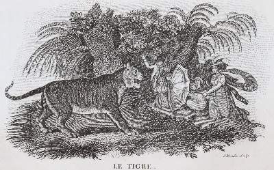 Bild Nr.1: 144-1469 Smith,T.: (Zoologie)