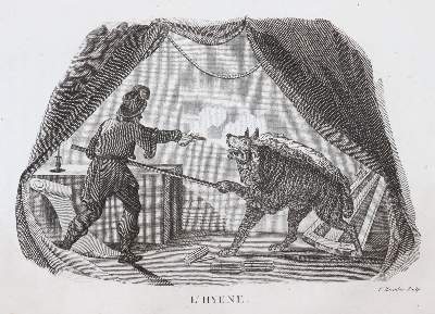 Bild Nr.2: 144-1469 Smith,T.: (Zoologie)