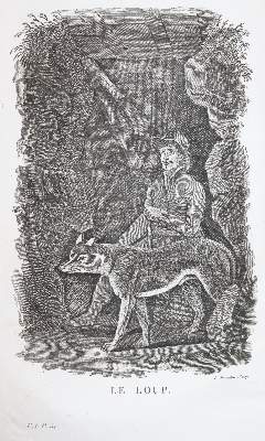 Bild Nr.3: 144-1469 Smith,T.: (Zoologie)