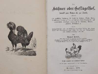 Bild Nr.4: 144-1473 Meerwarth,H. u. K.Soffel.: (Zoologie, Vögel)