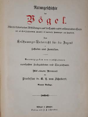 Bild Nr.6: 144-1473 Meerwarth,H. u. K.Soffel.: (Zoologie, Vögel)