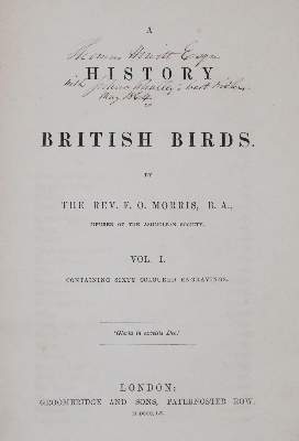 Bild Nr.12: 144-1474 Morris,F.O.: (Zoologie, Vögel)