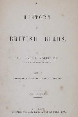 Bild Nr.10: 144-1475 Morris,F.O.: (Zoologie, Vögel)