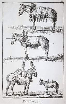 Bild Nr.1: 144-1530 Diderot,D. u. J.d'Alembert.: (Verschiedene Gebiete - Varia)