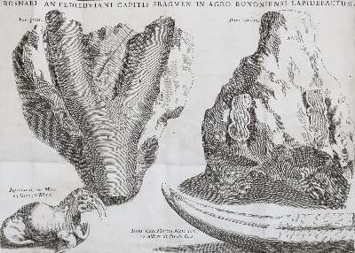 Bild Nr.2: 144-1543 Monti,G.: (Verschiedene Gebiete - Varia, Geologie - Mineralogie u. Paläontologie)