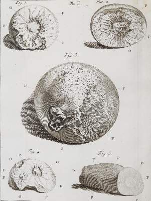 Bild Nr.2: 144-1550 Histoire de l'academie royale des sciences.: (Verschiedene Gebiete - Varia)