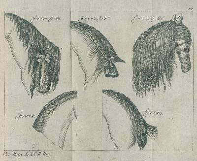 Bild Nr.1: 144-1562 Krünitz,J.G.: (Verschiedene Länder - Geschichte, Magnetismus)