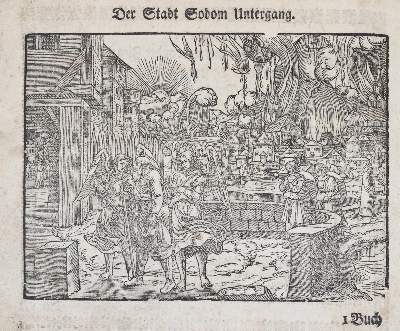 Bild Nr.2: 144-16 Zeidler,J.G.: (Bibeln, Bilderbibel)