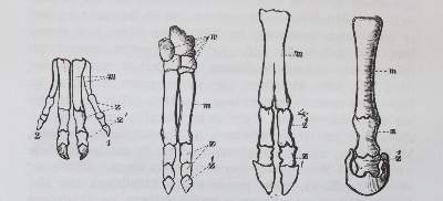 Bild Nr.2: 144-1638 Ratzel,F.: (Verschiedene Gebiete - Varia)