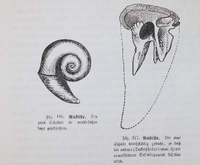Bild Nr.3: 144-1638 Ratzel,F.: (Verschiedene Gebiete - Varia)