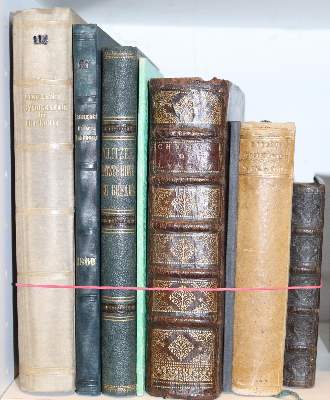 Bild Nr.2: 144-1643 Sammlung: (Verschiedene Gebiete - Varia)