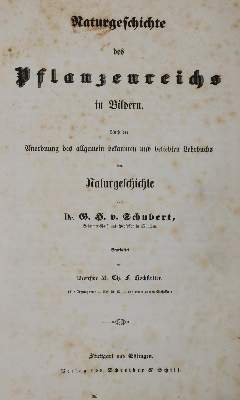 Bild Nr.10: 144-1649 Schubert,G.H.v.: (Verschiedene Gebiete - Varia)