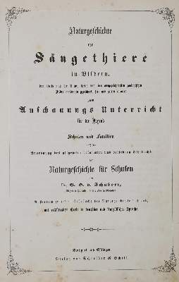 Bild Nr.12: 144-1649 Schubert,G.H.v.: (Verschiedene Gebiete - Varia)