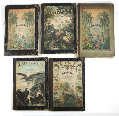 Bild Nr.2: 144-1649 Schubert,G.H.v.: (Verschiedene Gebiete - Varia)