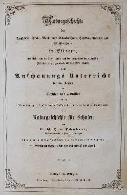 Bild Nr.3: 144-1649 Schubert,G.H.v.: (Verschiedene Gebiete - Varia)