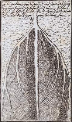 Bild Nr.2: 144-1667 Bertrand,M.J.: (Verschiedene Gebiete - Varia, Wasserbau)