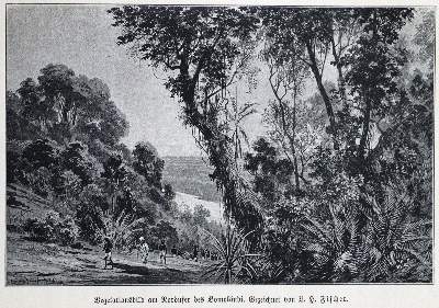 Bild Nr.3: 144-1673 Junker,W.: (Afrika)