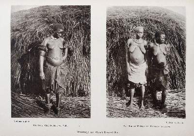 Bild Nr.5: 144-1681 Stuhlmann,F.: (Afrika)