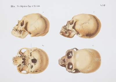 Bild Nr.2: 144-1686 Bibra,E.v.: (Amerika, Bolivien)