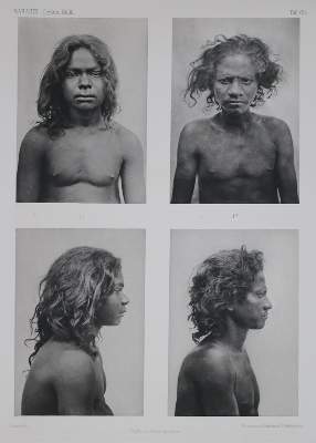 Bild Nr.2: 144-1743 Sarasin,P. u. F.: (Asien, Sri Lanka)
