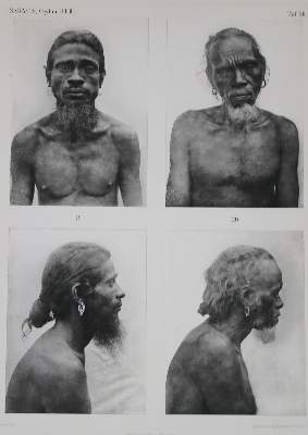 Bild Nr.3: 144-1743 Sarasin,P. u. F.: (Asien, Sri Lanka)