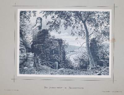 Bild Nr.5: 144-1856 Hoffmann,H.: (Deutschland, Neckartal)