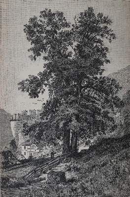 Bild Nr.5: 144-2103 Europäische Wanderbilder.: (Verschiedene Länder - Geschichte)