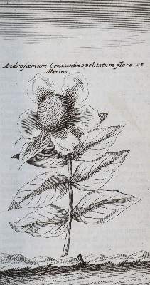 Bild Nr.4: 144-2115 Wheler,G.: (Verschiedene Länder - Geschichte, Griechenland)