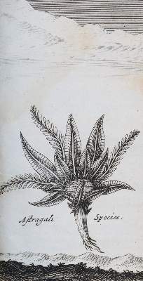 Bild Nr.5: 144-2115 Wheler,G.: (Verschiedene Länder - Geschichte, Griechenland)