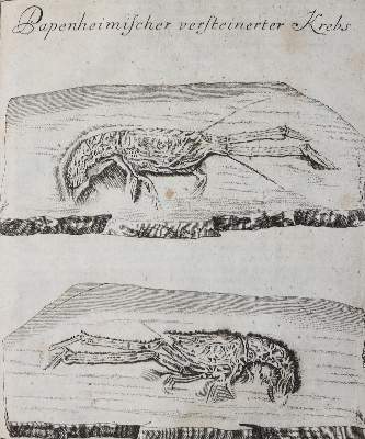 Bild Nr.5: 144-2126 Keyßler,J.G.: (Verschiedene Länder - Geschichte)