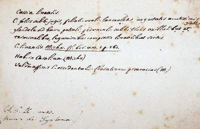 Bild Nr.1: 144-2176 Candolle, Augustin Pyrame de,: (Autographen)