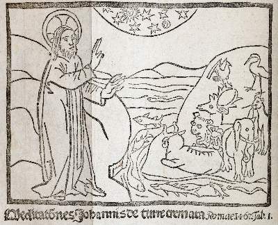 Bild Nr.11: 144-2261 Rückgänge: (Varia)