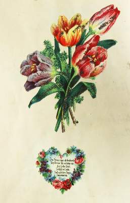 Bild Nr.1: 144-267 Poesiealben.: (Handschriften)