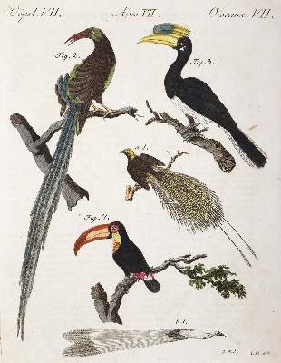 Bild Nr.2: 144-2767 Bertuch, Johann Friedrich Justin: (Varia)
