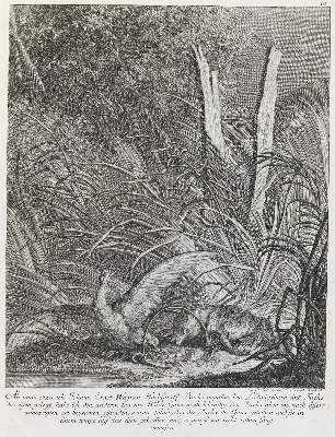 Bild Nr.1: 144-2811 Ridinger,E.J.: (Varia, Jagd, Füchse)