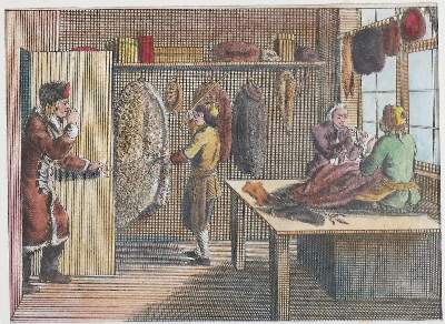 Bild Nr.217: 144-2853 Pelz.: (Varia, Mode und Trachten)