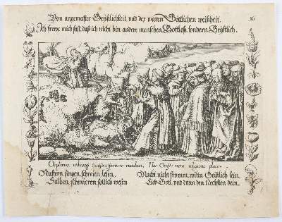 Bild Nr.2: 144-2878 Katzen: (Varia, Zoologie)