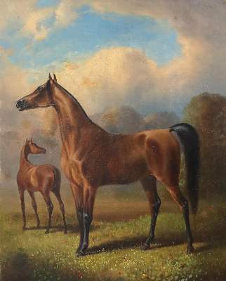 Bild Nr.2: 144-2880 Pferde.: (Varia, Zoologie)