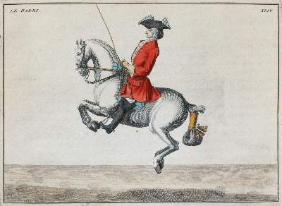 Bild Nr.2: 144-2881 Eisenberg, Friedrich Wilhelm von: (Varia, Zoologie, Pferde)