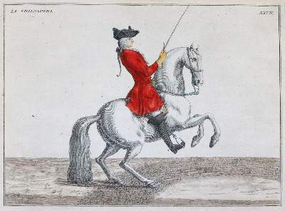 Bild Nr.3: 144-2881 Eisenberg, Friedrich Wilhelm von: (Varia, Zoologie, Pferde)