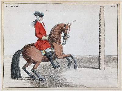 Bild Nr.4: 144-2881 Eisenberg, Friedrich Wilhelm von: (Varia, Zoologie, Pferde)