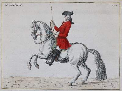 Bild Nr.6: 144-2881 Eisenberg, Friedrich Wilhelm von: (Varia, Zoologie, Pferde)