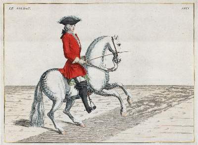 Bild Nr.7: 144-2881 Eisenberg, Friedrich Wilhelm von: (Varia, Zoologie, Pferde)