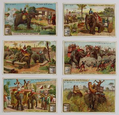 Bild Nr.7: 144-2882 Sammlung: (Varia, Zoologie)
