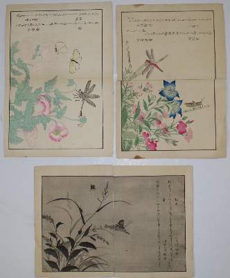 Bild Nr.11: 144-2952 Merian.: (Deutschland)