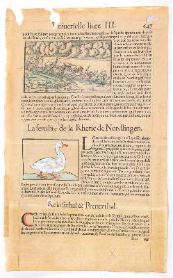 Bild Nr.2: 144-2954 Konvolut: (Deutschland, Nördlingen)